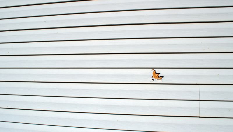 Vinyl Siding Patch Repair